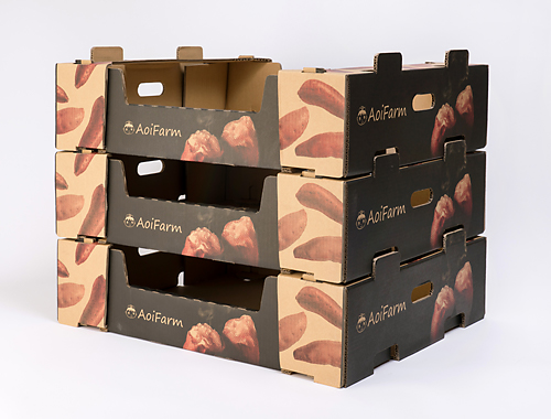 Kushima AoiFarm Sweet potato
