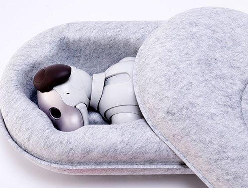 JPDA award 2019 years